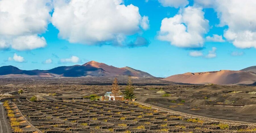 Arrecife: Timanfaya and Green Lagoon for Cruise Passengers - What Are the Downsides?