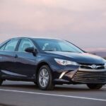 Arrival Private Transfer from Tbilisi Airport to Tbilisi Hotel - Final Thoughts