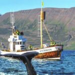 Árskógssandur: Whale-Watching Boat Trip - The Value of This Tour