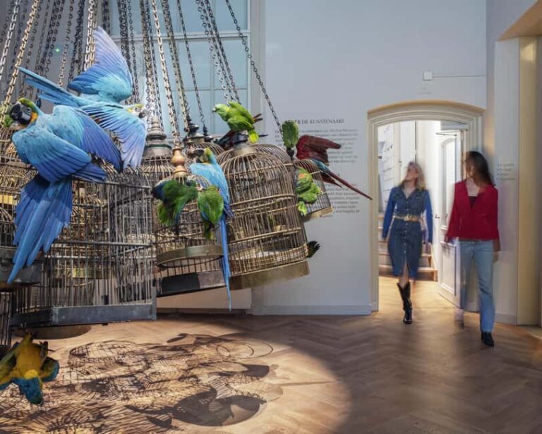 Art Zoo Museum: Art meets nature in a 17th-Century House - Exploring the Art Zoo Museum: What You Can Expect