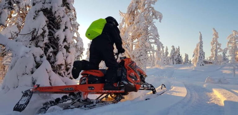 Arvidsjaur: 4-hour custom snowmobile tour in Swedish Lapland - What to Expect During the Tour