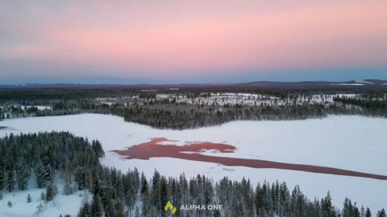 Arvidsjaur: 5-Hour Guided Snowmobile Adventure - Practical Details: What You Need to Know