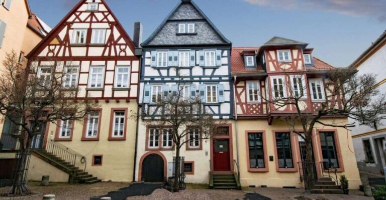 Aschaffenburg: Private Guided Walking Tour - What You’ll Experience on the Tour