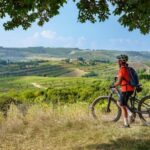 Asciano & Crete Senesi E-BIKE Tour + Pick-up&Drop-off by Van - Who Will Enjoy This Tour?
