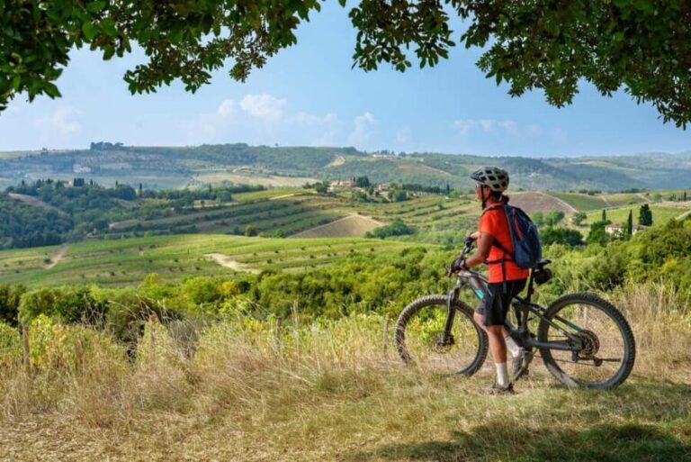 Asciano & Crete Senesi E-BIKE Tour + Pick-up&Drop-off by Van - Who Will Enjoy This Tour?