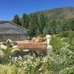 Aspen's Off the Beaten Path Tour - Final Thoughts: Is This Tour for You?