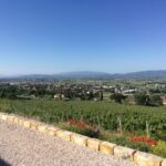 Assisi: Organic Balsamic Vinegar, Olive Oil & Wine Tour - What Makes This Tour Stand Out