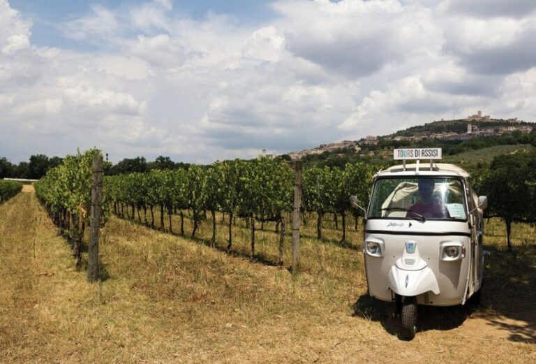 Assisi: Panoramic Tuk Tuk Tour - What Makes This Tour Stand Out