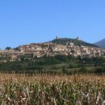 Assisi: Walking Tour with St. Francis Basilica Visit - What Travelers Are Saying