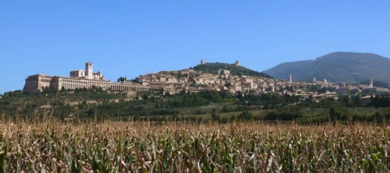 Assisi: Walking Tour with St. Francis Basilica Visit - What Travelers Are Saying