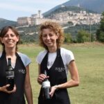 Assisi: Wine tasting, gourmet pairing, walk in the vineyards - Who Should Consider This Tour?