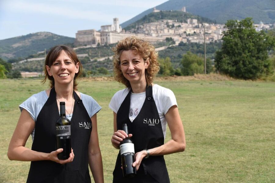 Assisi: Wine tasting, gourmet pairing, walk in the vineyards - Who Should Consider This Tour?