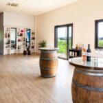 At the gates of Toulouse: from the vine to the cellar - Who should consider this tour?