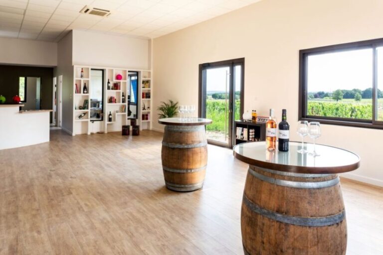 At the gates of Toulouse: from the vine to the cellar - Who should consider this tour?