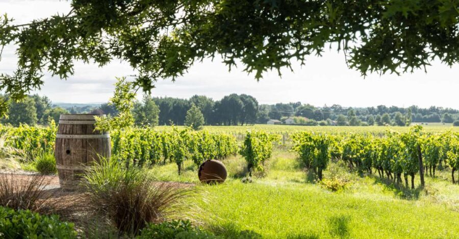 At the gates of Toulouse : Gourmet Tour - Walk and Tastings - Who Is This Tour Best For?