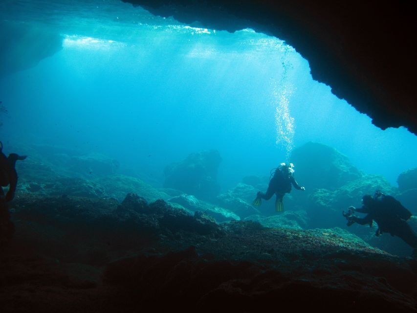 Athens: Adventure Dives in Nea Makri for Certified Divers - An Honest Look at the Value