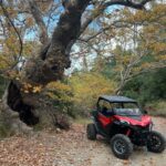 Athens Adventure Tour in Parnitha Mountain with 1000cc Buggy - The Practicalities: What You Need to Know