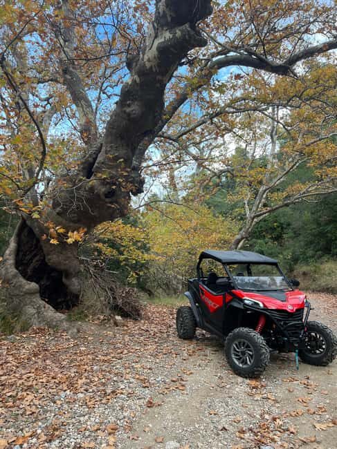 Athens Adventure Tour in Parnitha Mountain with 1000cc Buggy - The Practicalities: What You Need to Know