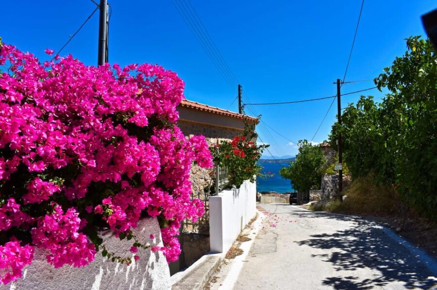 Athens: Agistri, Metopi & Aegina Cruise with Meals & Drinks - The Pickup & Transfer Experience