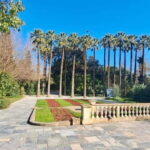 Athens Fun Day with a Local (Walking tour) - The Experience: What You’ll Love