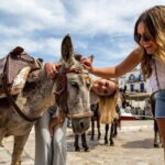 Athens: Hydra, Poros & Aegina Day Cruise with Lunch - The Real Traveler Insights