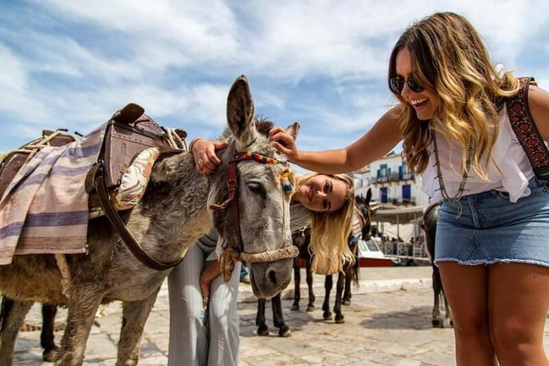 Athens: Hydra, Poros & Aegina Day Cruise with Lunch - The Real Traveler Insights