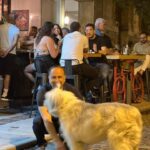 Athens: Natural Wine O'Clock Tasting!!! - Who Is This Tour Best For?