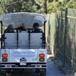 Athens: Private Evening Sightseeing Tour by Electric Tuk-Tuk - Why Travelers Love This Tour