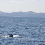 Athens Riviera Private Catamaran Cruise with Meal and Drinks - The Itinerary in Detail