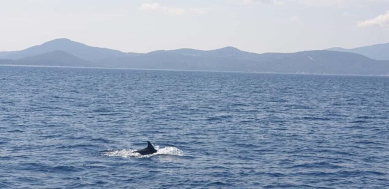 Athens Riviera Private Catamaran Cruise with Meal and Drinks - The Itinerary in Detail