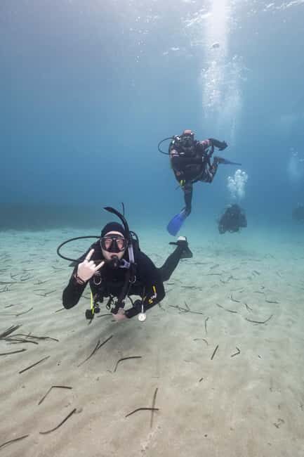 Athens: Single or Double Scuba diving for certified divers - The Dive Experience in Detail