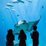 Atlanta CityPASS®: Save up to 49% at 5 Top Attractions - What to Expect at Each Attraction
