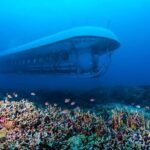 Atlantis Submarine from Kona Beach - What to Expect During Your Underwater Adventure