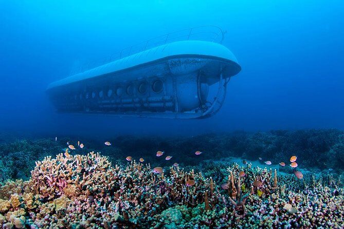 Atlantis Submarine from Kona Beach - What to Expect During Your Underwater Adventure