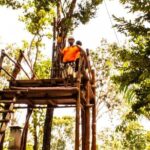 ATV Jungle Ride, Cenote & Ziplines! Roundtrip - Playa Del Carmen - Authentic Perspectives from Past Travelers