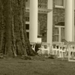 Auburn Avenue African American Half Day Human Rights/Civil Rights Tour - What You’ll Experience: The Good and the Caveats