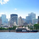 AURA experience at Notre-Dame Basilica and guided cruise - The Breakdown of the Experience