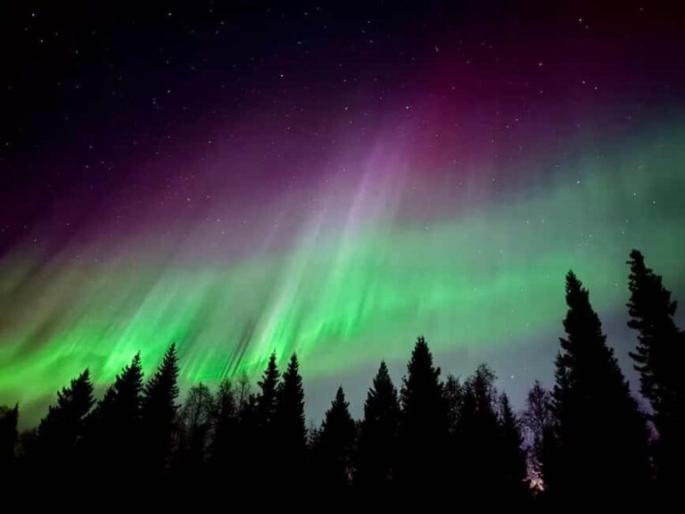 Aurora BBQ in the Private Place in Rovaniemi - The Practicalities: What You Need to Know