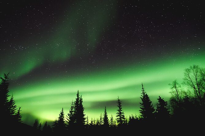 Aurora Lodge Viewing - The Experience in Detail