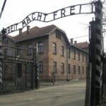 Auschwitz-Birkenau and Krakow Private Car Trip from Katowice - Why This Tour Works