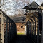 Auschwitz Birkenau and Salt Mine Full Day Guided Tour from Krakow hotel pick up - Who is this tour best suited for?