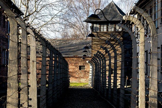 Auschwitz Birkenau and Salt Mine Full Day Guided Tour from Krakow hotel pick up - Who is this tour best suited for?