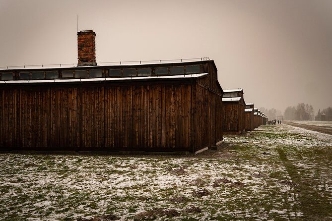 Auschwitz-Birkenau and Wieliczka Salt Mine Day Tour from Krakow with private car - The Price: How Does It Stack Up?