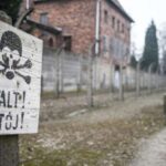 Auschwitz-Birkenau Full-Day Tour from Lodz by Private Car - The Transfer to Auschwitz II (Birkenau)