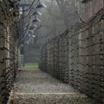 Auschwitz-Birkenau Guided Tour & Transfer from Krakow - The Experience from the Guides and Reviews