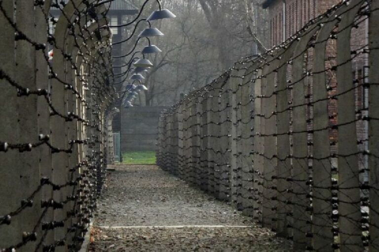Auschwitz-Birkenau Guided Tour & Transfer from Krakow - The Experience from the Guides and Reviews