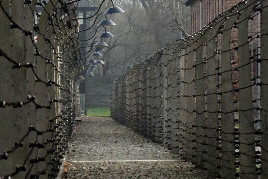 Auschwitz-Birkenau Guided Tour & Transfer from Krakow - The Experience from the Guides and Reviews