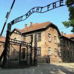 Auschwitz-Birkenau Guided Tour with Private Transport from Krakow - The Real Value of This Tour