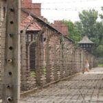 Auschwitz & Birkenau Live Guide Tour Entrance Ticket - What Travelers Can Expect at Each Stop