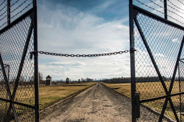 Auschwitz-Birkenau: Museum Entry Ticket with Guided Tour - Who Is This Tour Best Suited For?